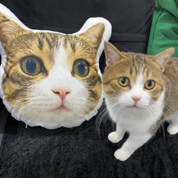 💝Hot Sale -20%off🎁 Custom Pet Pillow - Custom Photo Gifts