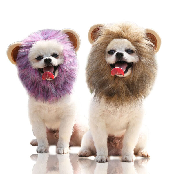 💖Hot Sale 20% OFF - Adorable Cat & Dog Animal Headwear 🐶🐱