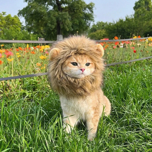 💖Hot Sale 20% OFF - Adorable Cat & Dog Animal Headwear 🐶🐱